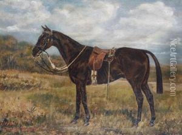 'liffey' - A Cavalry Horse Carrying A Sword Oil Painting - W. Wasdell Trickett