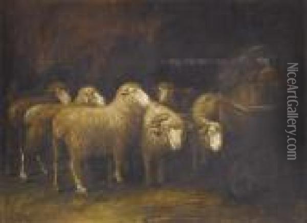 Sheep In A Stable Oil Painting - Alfred Montgomery