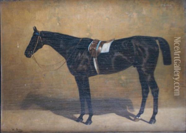 Le Cheval Gambler Oil Painting - H.F. Lang