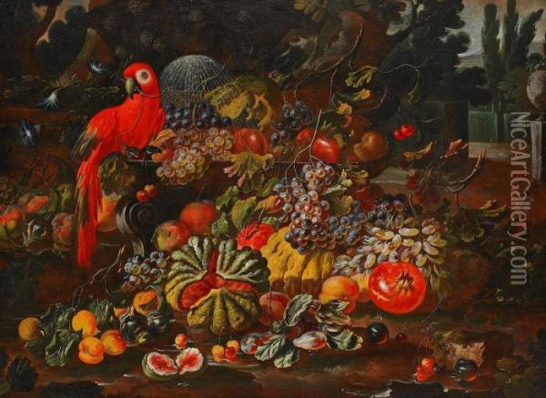 Stilleben Med Frukter Och Papegoja Oil Painting - Giovanni Paolo Castelli Spadino