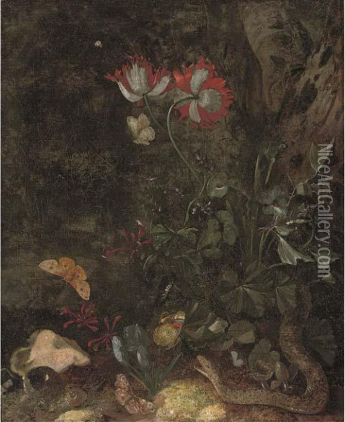 A Forest Floor Still Life With A Snake Oil Painting - Otto Marseus Snuff. Van Schrieck