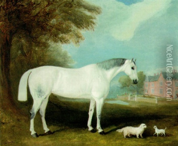 A Grey Hunter With Two Dogs, In The Grounds Of A Country House Oil Painting - John Ferneley Jr.