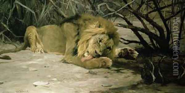 Lion Reclining in a Landscape Oil Painting - Wilhelm Kuhnert
