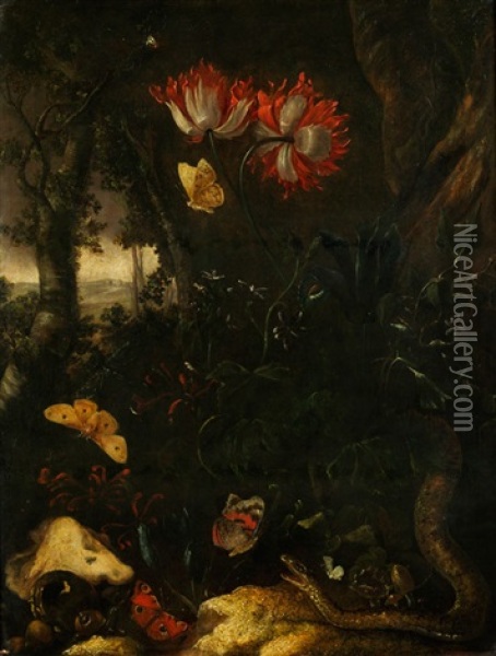 Waldstillleben Mit Blumen, Schmetterlingen Und Schlange Oil Painting - Otto Marseus van Schrieck
