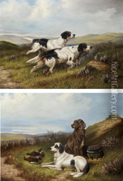 Setter In Landscapes With Dead Game Oil Painting - Colin Graeme