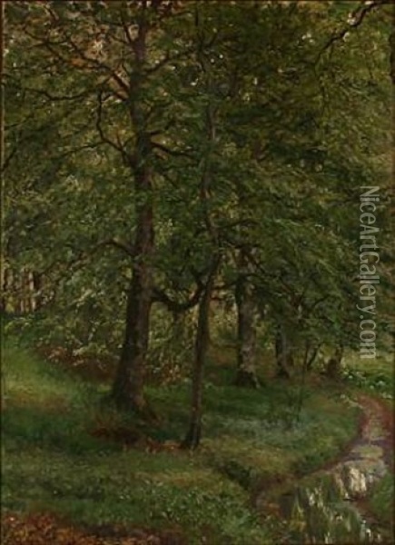 Summer Day In A Forest Oil Painting - Viggo Pedersen