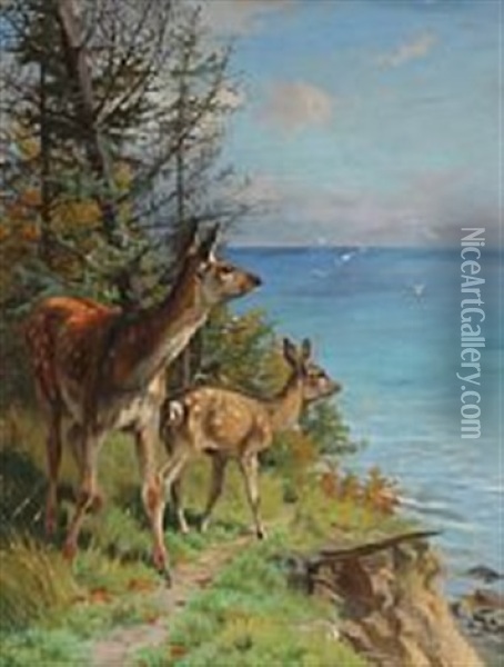 A Couple Of Deers Standing At The Edge Of The Forest Oil Painting - Adolf Heinrich Mackeprang