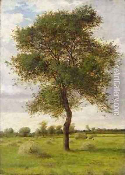 Study of an Ash Tree in Summer Oil Painting - James Hey Davies