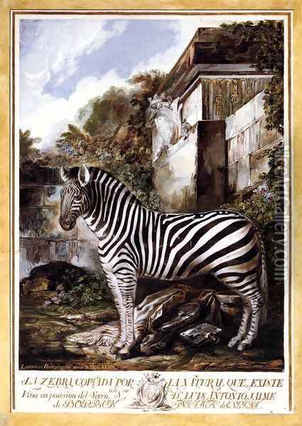 Zebra Oil Painting - Luis Paret Y Alcazar