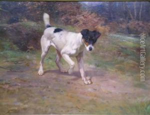 Smooth Fox Terrier At The Edge Of A Wood Oil Painting - Wright Barker