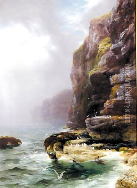 The Sea Birds' Haunt Oil Painting - Peter Graham