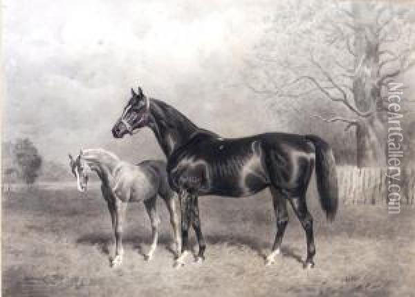 The Racehorse Kermesse And Foal Oil Painting - Alfred Bright