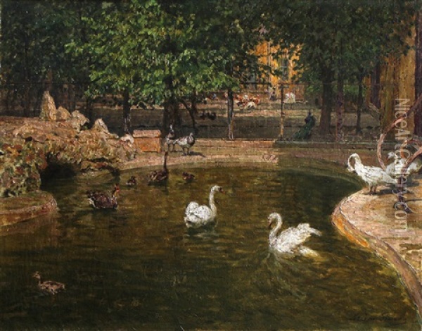Schonbrunner Tiergarten (vogelhaus Mit Wasserbecken) Oil Painting - Stefan Simony