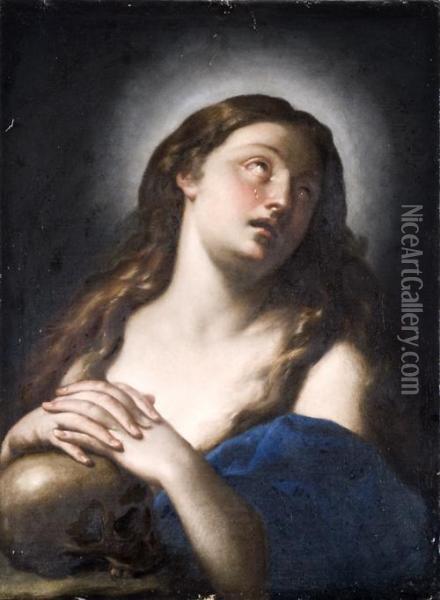 Maddalena Oil Painting - Francesco Trevisani