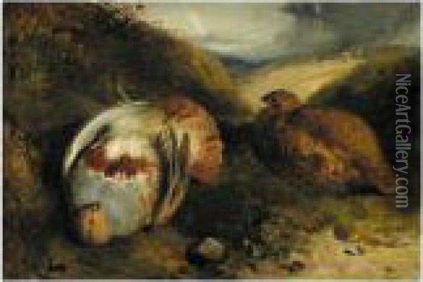 Partridges Oil Painting - Thomas Woodward