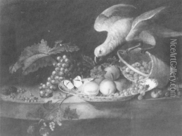 Grapes And Berries On A Ledge By A Blue And White Dish With Peaches And Raspberries, A Parrot Upsetting A Basket... Oil Painting - Jakob Bogdani