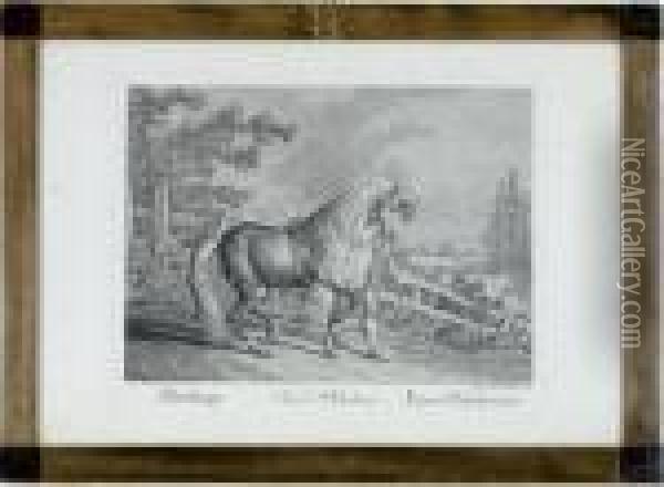 [horse Breeds]: Eleven Plates Oil Painting - Johann Elias Ridinger or Riedinger