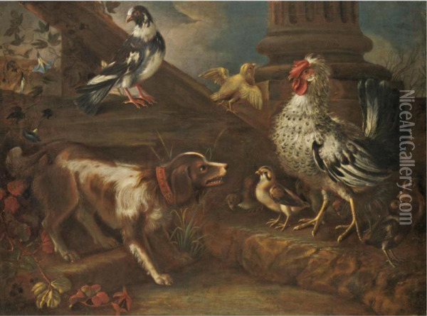 A Farmyard Still Life With A Spaniel, A Cockerel, Chicks, And A Pigeon Oil Painting - Niccolo Cassana