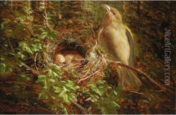 Chaffinch Nesting; Green Finch Guarding The Nest Oil Painting - William Hughes