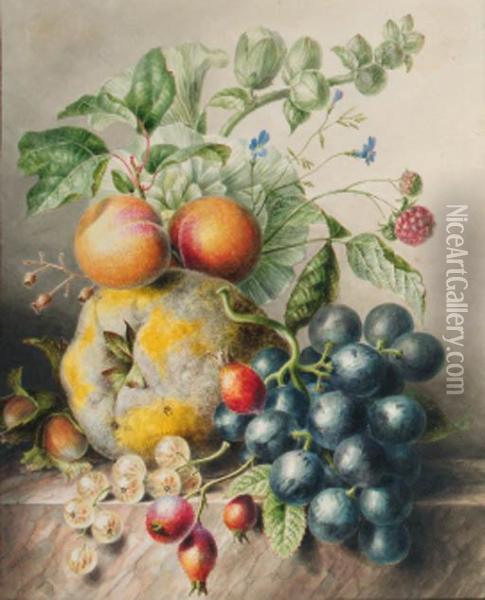A Quince, A Rose-mallow, Hazelnuts, Berries, Rosehips,blackberries, Peaches And Grapes On A Marble Ledge Oil Painting - Willem Hekking