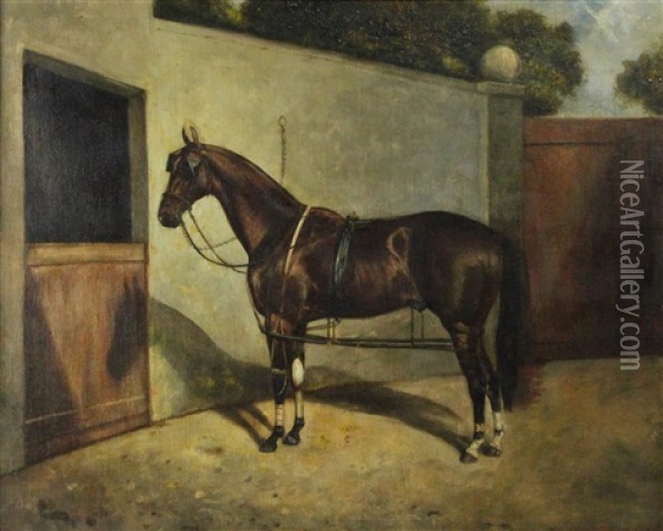 Brown Horse In Tack Oil Painting - Frederick Albert Clark