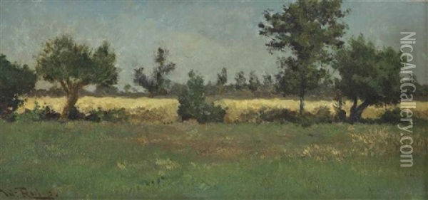 Trees Along A Hayfield Oil Painting - Willem Roelofs