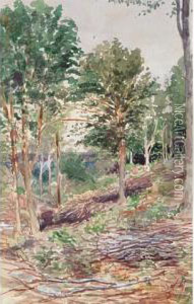 Woodland Scene Oil Painting - James Edward Hervey MacDonald