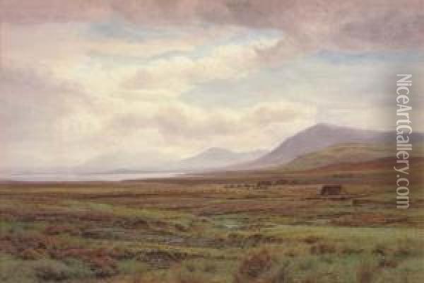On The Moors, Achill Island, Co. Mayo, Ireland Oil Painting - Henry Albert Hartland