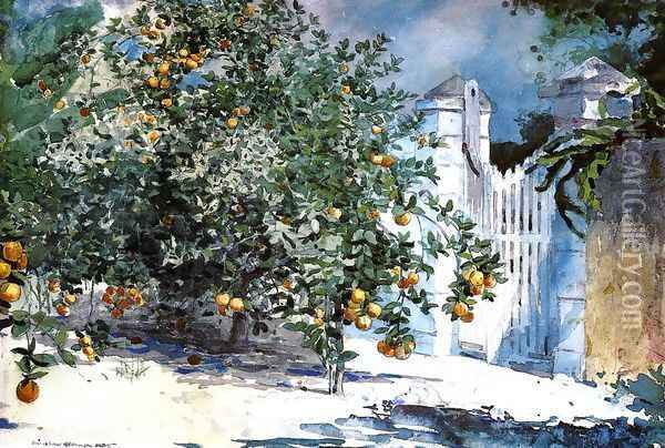 Orange Tree, Nassau (or Orange Trees and Gate) Oil Painting - Winslow Homer