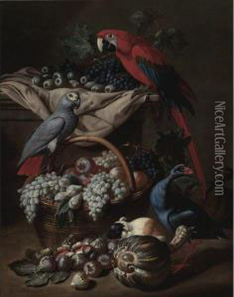 Still Life With Two Parrots, A Guinea Pig, A Basket Of Fruit Andfowl Oil Painting - Jacob van der (Giacomo da Castello) Kerckhoven