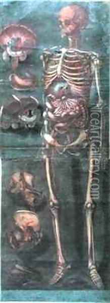 The Skeleton from Exposition Anatomique de la Structure du Corps Humain Oil Painting - Jacques - Fabien Gautier - Dagoty