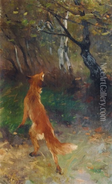 Fox Watching A Bird Oil Painting - Thomas Herbst
