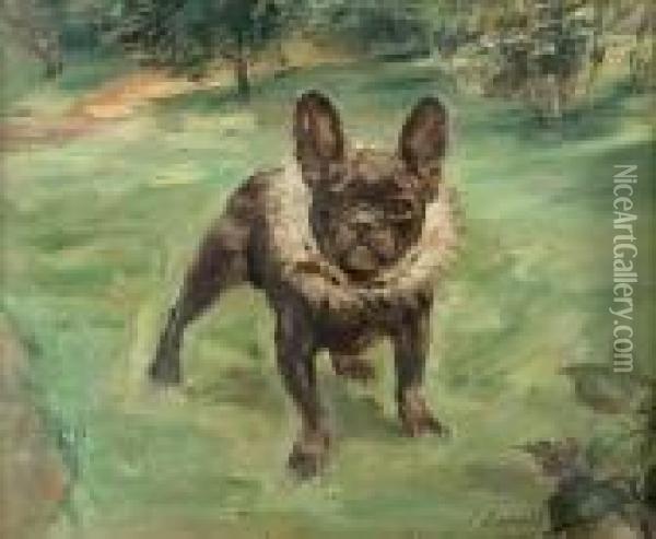 Standing French Bulldog Oil Painting - Paul Kapell