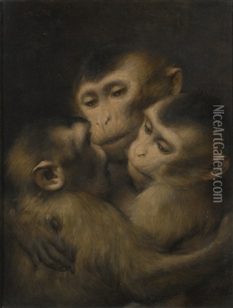 Three Monkeys Oil Painting - Gabriel von Max