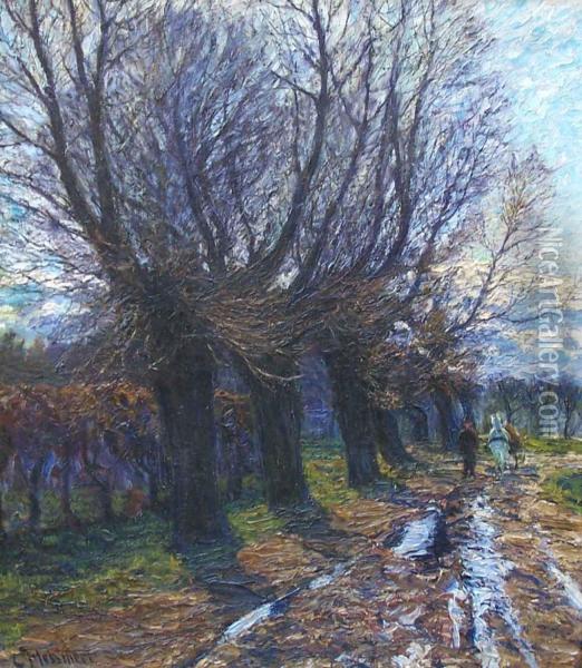 Weideweg Nach Dem Regen (im April) Oil Painting - Karl Hessmert