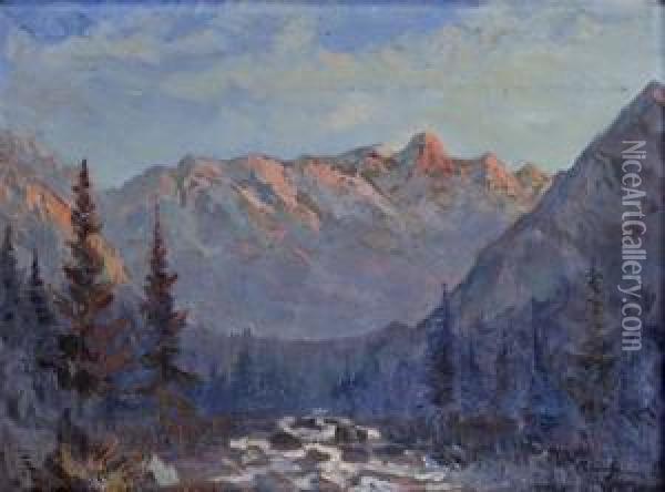 Studenovodska Dolina Oil Painting - Karol Polonyi