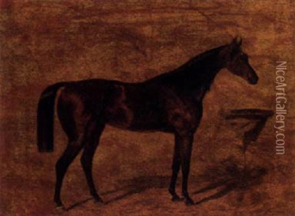 A Dark Brown Horse Before A Manger Oil Painting - Anton Zampis