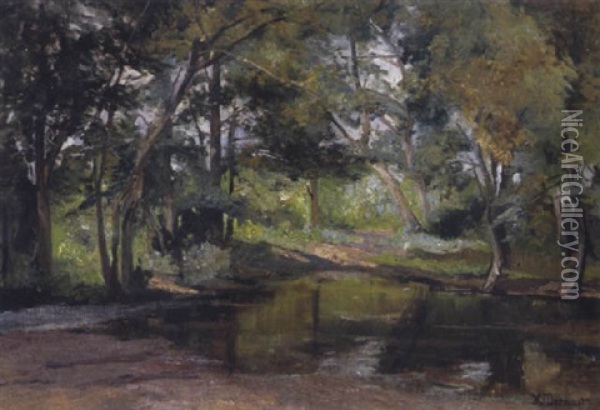 Waldlandschaft Mit Einem Teich Im Vordergrund Oil Painting - Hugo Darnaut