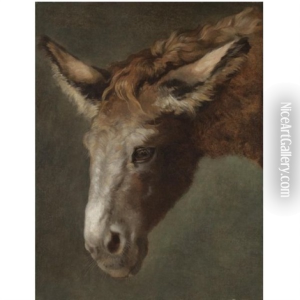 A Study For The Head Of A Donkey Oil Painting - Jacques-Laurent Agasse