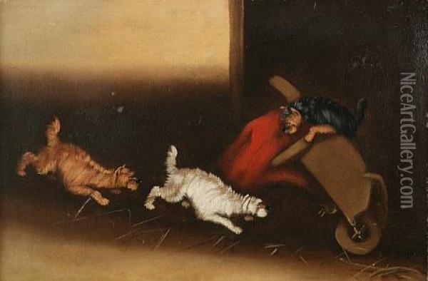 Terriers Ratting Under A Wheelbarrow Oil Painting - Edward Armfield