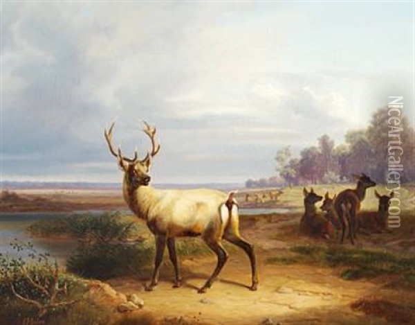 Stag And Red Deer Near A Lake Oil Painting - Christian Frederick Carl Holm
