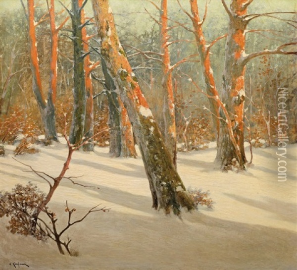 Zimni Les Oil Painting - Adolf Kaufmann