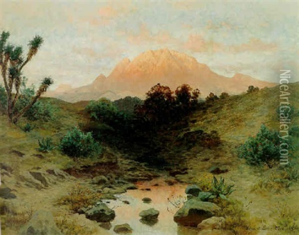 Vista Del Ajusco Oil Painting - August Loehr
