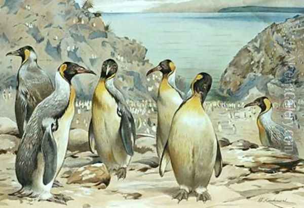 Emperor Penguin Oil Painting - Wilhelm Kuhnert