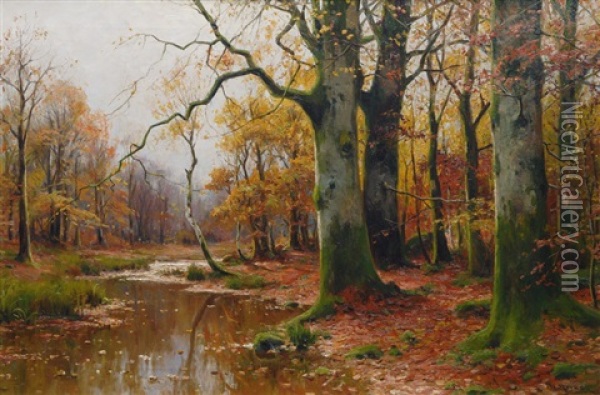 Creek In An Autumnal Forest Oil Painting - Walter Moras