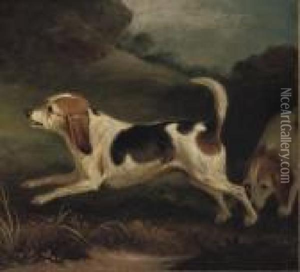 A Beagle In A Landscape Oil Painting - John Snr Ferneley