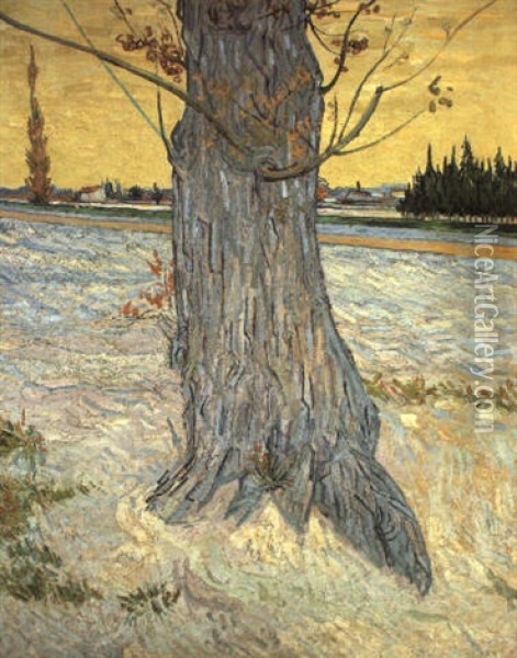 Le Vieil If Oil Painting - Vincent Van Gogh