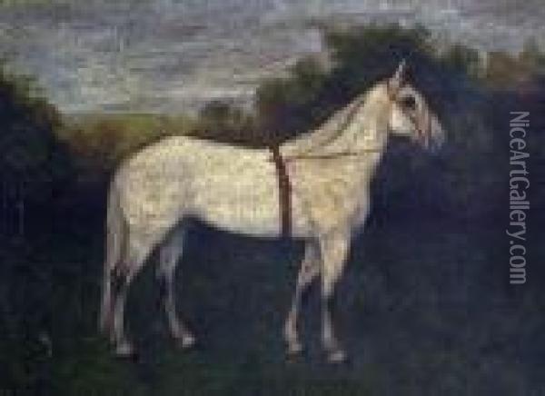 Lady R, Study Of A Racehorse Oil Painting - Garden Grant Smith