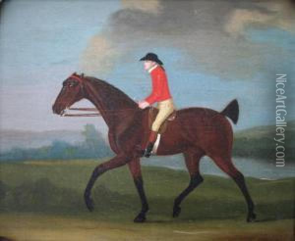 A Groom, Possibly George Wellstead, Exercising A Bayracehorse Oil Painting - J. Francis Sartorius