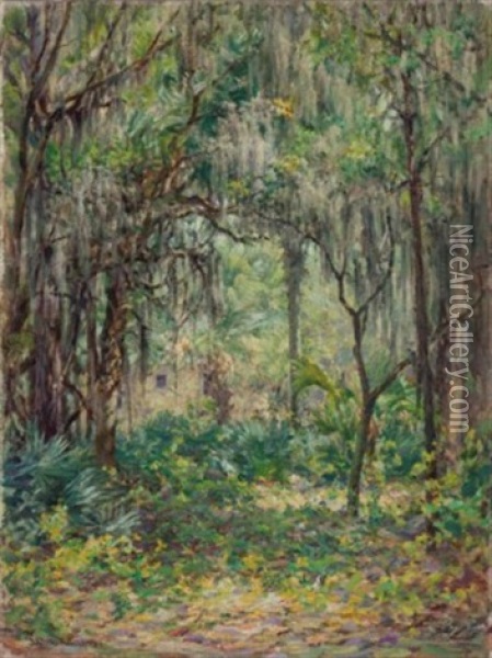 Florida Jungle With Cabin, St. Petersburg Oil Painting - John Ottis Adams